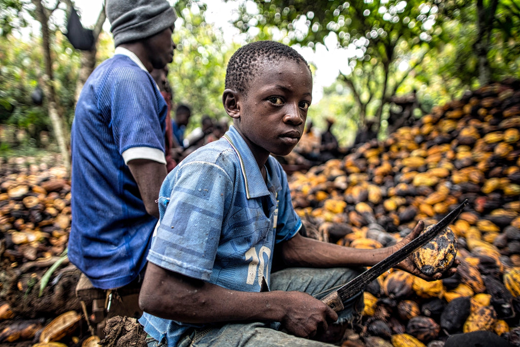 Slavery and Child Labour in the Chocolate Industry